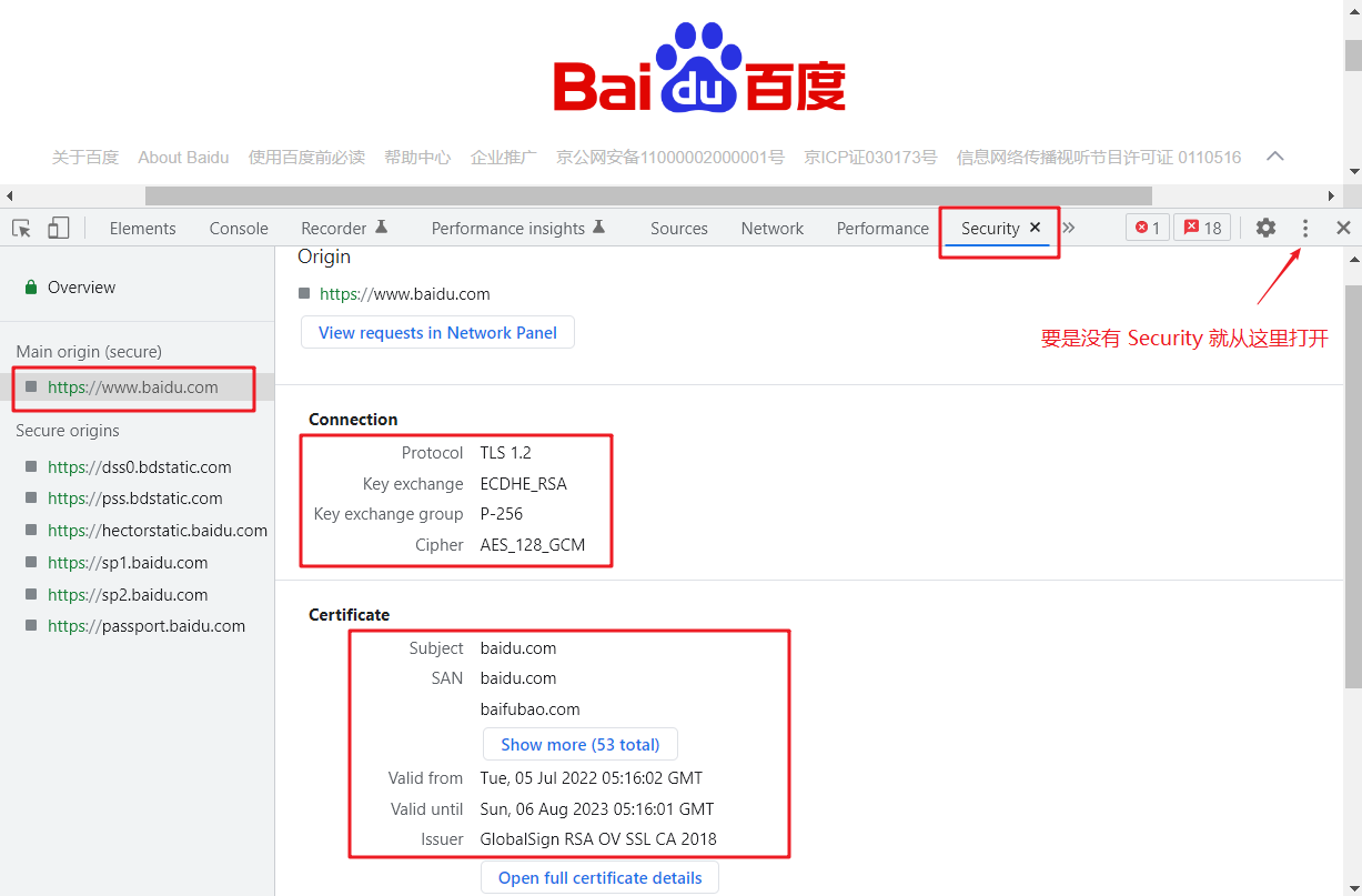 通过开发者工具查询 TLS 信息